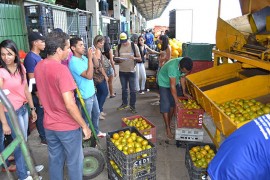 27.02.15 alunos campus bananeiras visitam empasa 3 270x180 - Alunos da UFPB do campus de Bananeiras visitam a Empasa