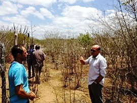 03.03.15 procase realiza dia campo soledadeag 2 270x203 - Procase realiza Dia de Campo sobre barragens subterrâneas em Soledade