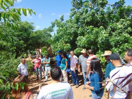 20.03.15 tecnicos rio grande norte conhecem trabalho 2 270x202 - Técnicos da Emater-RN conhecem experiência de agroindústria de polpa assessorada pela Emater-PB