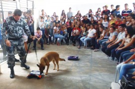 Canil na escola contra as drogas Cajazeiras 4 270x179 - Polícia realiza palestras de prevenção às drogas em escolas de Cajazeiras