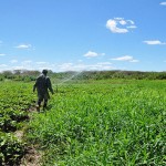 23.04.15 governo_capacitata_tecnicos_trabalhar_agroecologia_patos (1)