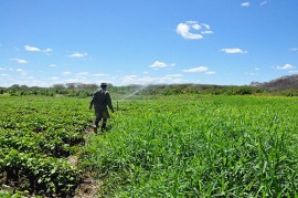 23.04.15 governo capacitata tecnicos trabalhar agroecologia patos 1 270x179 - Governo capacita técnicos para trabalhar a agroecologia no Semiárido paraibano