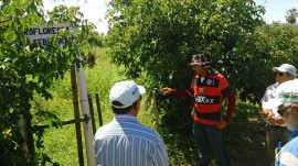 23.04.15 governo capacitata tecnicos trabalhar agroecologia patos 3 270x151 - Governo capacita técnicos para trabalhar a agroecologia no Semiárido paraibano