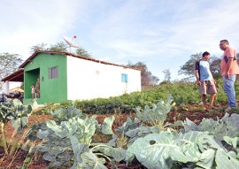 Emater producao e venda de hortalicas muda vida de familia em suma agricultura 2 270x191 - Governo do Estado incentiva agricultura familiar em Sumé