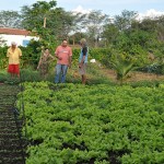 Emater producao e venda de hortalicas muda vida de familia em suma agricultura (3)