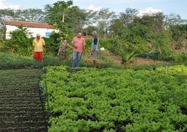 Emater producao e venda de hortalicas muda vida de familia em suma agricultura 3 270x191 - Governo do Estado incentiva agricultura familiar em Sumé