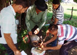 Emater testa algodao herbaceo no sertao foto assessoria da emater 1 270x191 - Paraíba testa produção de algodão herbáceo orgânico no Sertão