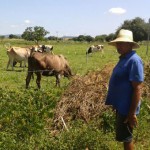 agricultores do tarifa verde produzem mesmo com a estiagem (2)