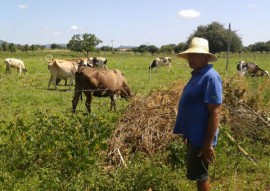 agricultores do tarifa verde produzem mesmo com a estiagem 2 270x191 - Agricultores beneficiários do Tarifa Verde produzem alimentos