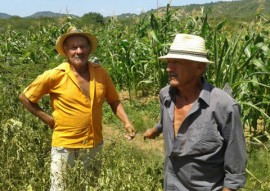 agricultores do tarifa verde produzem mesmo com a estiagem 3 270x191 - Agricultores beneficiários do Tarifa Verde produzem alimentos