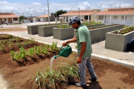 cidade madura CG foto claudio goes 8 270x180 - Ricardo entrega Condomínio Cidade Madura em Campina Grande nesta terça-feira