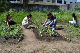 comp251 270x180 - Pesquisa confirma qualidade de compostagem orgânica desenvolvida pela Empasa