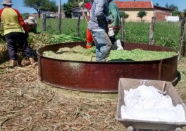 sllos 27 05 jpg 1 270x191 - Governo promove Dia de Campo sobre práticas de convivência com semiárido