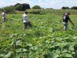 PAA SousaCs 270x202 - Agricultores assistidos pela Emater comercializam R$ 3,3 milhões ao Programa de Aquisição de Alimentos