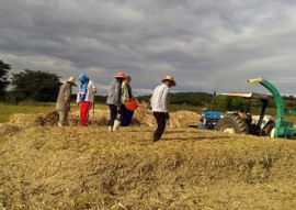 Pombal silo 11 06 270x191 - Governo orienta agricultores de Pombal sobre preparo de silos para armazenar ração animal