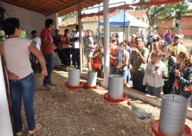 cooperar dia do campo estimula a criacao de galinha caipira 3 270x191 - Governo promove dia de campo para estimular a criação de galinha caipira