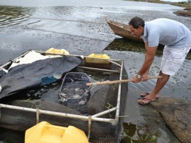 pis485 270x202 - Governo do Estado participa de festival de peixe e distribui alevinos em Camalaú