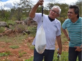 pis534 270x202 - Governo do Estado participa de festival de peixe e distribui alevinos em Camalaú