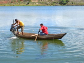 pis554 270x202 - Governo do Estado participa de festival de peixe e distribui alevinos em Camalaú