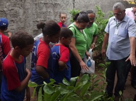 semana meio ambiente alagoa grande2 270x202 - Governo encerra Semana do Meio Ambiente em Alagoa Grande com distribuição de mudas