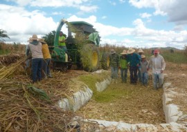 03.07.15 emater silagem poco dantas 3 1 270x191 - Agricultor usa a Tarifa Verde para produção de ração animal