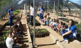 horta2S.Joaodo Cariri 270x162 - Governo leva educação ambiental às escolas em São João do Tigre