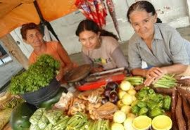 mulahres agricultura 270x185 - Governo do Estado realiza encontro em Campina Grande sobre a mulher na agricultura familiar