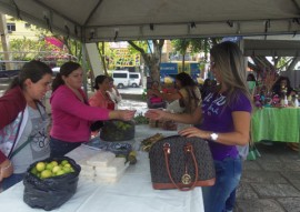 procase mulheres do semiarido trocam experiencia e discutem participacao no poder 4 270x191 - Governo promove Encontro de Mulheres do Semiárido Paraibano