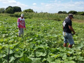 09.09.15 fortalecimento agricultura familiar 5 270x202 - Governo discute Fortalecimento da Agricultura Familiar em Cajazeiras nesta sexta-feira