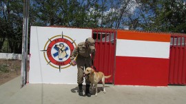 IMG 6141 270x151 - Corpo de Bombeiros capacita 18 militares para atuarem como condutores de cães de resgate