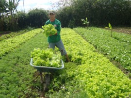 Pnae Picui 270x202 - Agricultores paraibanos comercializam produtos ao Pnae apesar da estiagem