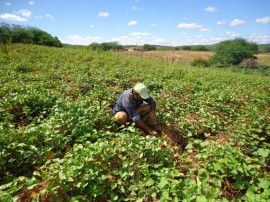 irrigação3 08 09 270x202 - Paraíba lidera contratações do Pronaf na região Nordeste