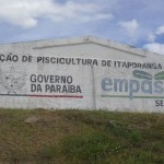 pis228 1 150x150 - Empasa leva ações para a 48ª Feira de Agronegócio no Parque de Exposições