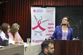 FOTO RicardoPuppe OutubroRosaAssembleia 1 1 270x180 - Governo do Estado participa de audiência pública sobre ações de prevenção e combate ao câncer de mama