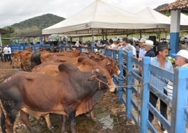 emepa leilao bovino foto joao francisco 94 270x191 - Paraíba registra maior crescimento de rebanho bovino do Nordeste, revela IBGE