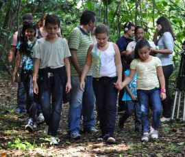 jardim botanico 1 270x230 - Nesta segunda-feira: Jardim Botânico retoma atividades com programação de férias