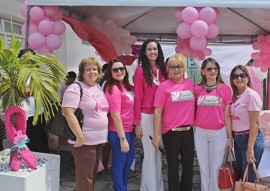 ses promove cedc outubro rosa_foto ricardo puppe (5)