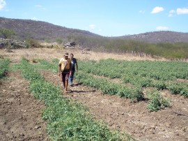 Melancia 13 11 2015 270x202 - Cultivo de hortaliças incentiva agricultura familiar em Nazarezinho