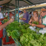 25.04.14-feira_emater_fotos_antonio-david-10 25.04.14-feira_emater_fotos_antonio-david-10