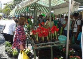 emater 5 mostra da agricultura familiar em cg 2 270x191 - Governo realiza 5ª Mostra da Agricultura Familiar em Campina Grande