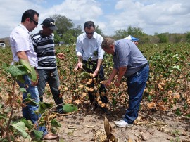 DSC 0117 algodao 270x202 - Gestão Unificada encerra 2015 com saldo positivo de ações na Paraíba