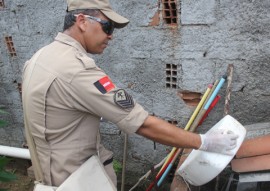 ses nova acao contra o mosquito do aedes aegypti em alhandra foto ricardo puppe (1)