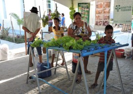 29 03 16 emater estimula hidroponia cultivo hortalias 1 270x192 - Governo do Estado incentiva cultivo de hortaliças com hidroponia