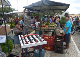 29 03 16 emater estimula hidroponia cultivo hortalias 2 270x192 - Governo do Estado incentiva cultivo de hortaliças com hidroponia