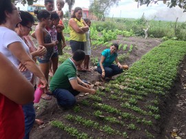 VISITA A HORTA portal 270x202 - Gestão Unificada comemora Dia Internacional da Mulher junto a agricultoras familiares