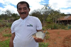 pis5421 270x180 - Empasa comercializa peixe a preços populares em Itaporanga para Semana Santa