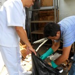 ses hemocentro realiza limpeza continuada contra o mosquito aedes aegypti (5)