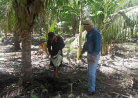 06 04 16 agricultores sao orientados uso racional deguapar 1 270x192 - Agricultores cultivam coco com uso racional de água em Sousa