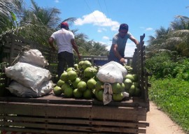 06 04 16 agricultores sao orientados uso racional deguapar 3 270x192 - Agricultores cultivam coco com uso racional de água em Sousa