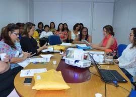 08 04 2016 Reunião CIB Fotos Luciana Bessa 6 270x192 - Governo apresenta projeto de combate à violência sexual infantil a gestores municipais